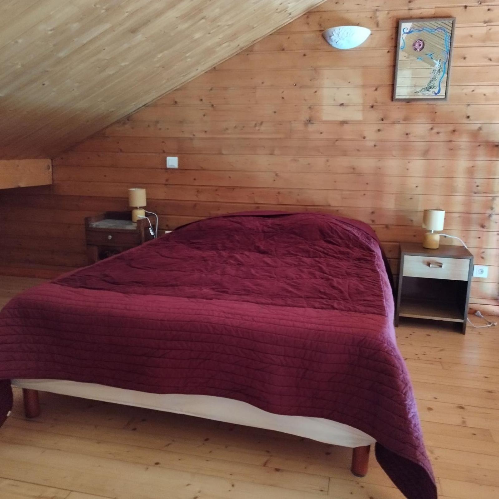 Saint-Diery Chalet Les Adrets Du Sancy מראה חיצוני תמונה